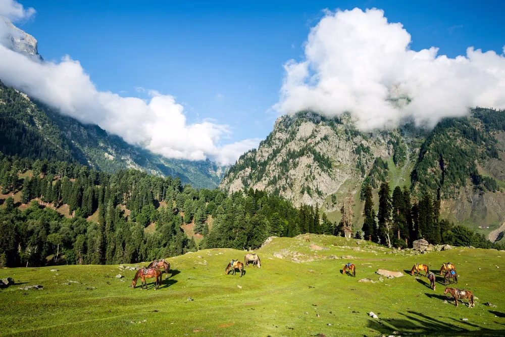 Sonamarg